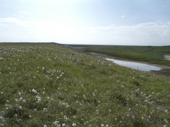  2006:09:06 04:31:55   Possible Beach Ridge on N side of downstream Buha - in delta region - photo a.jpg